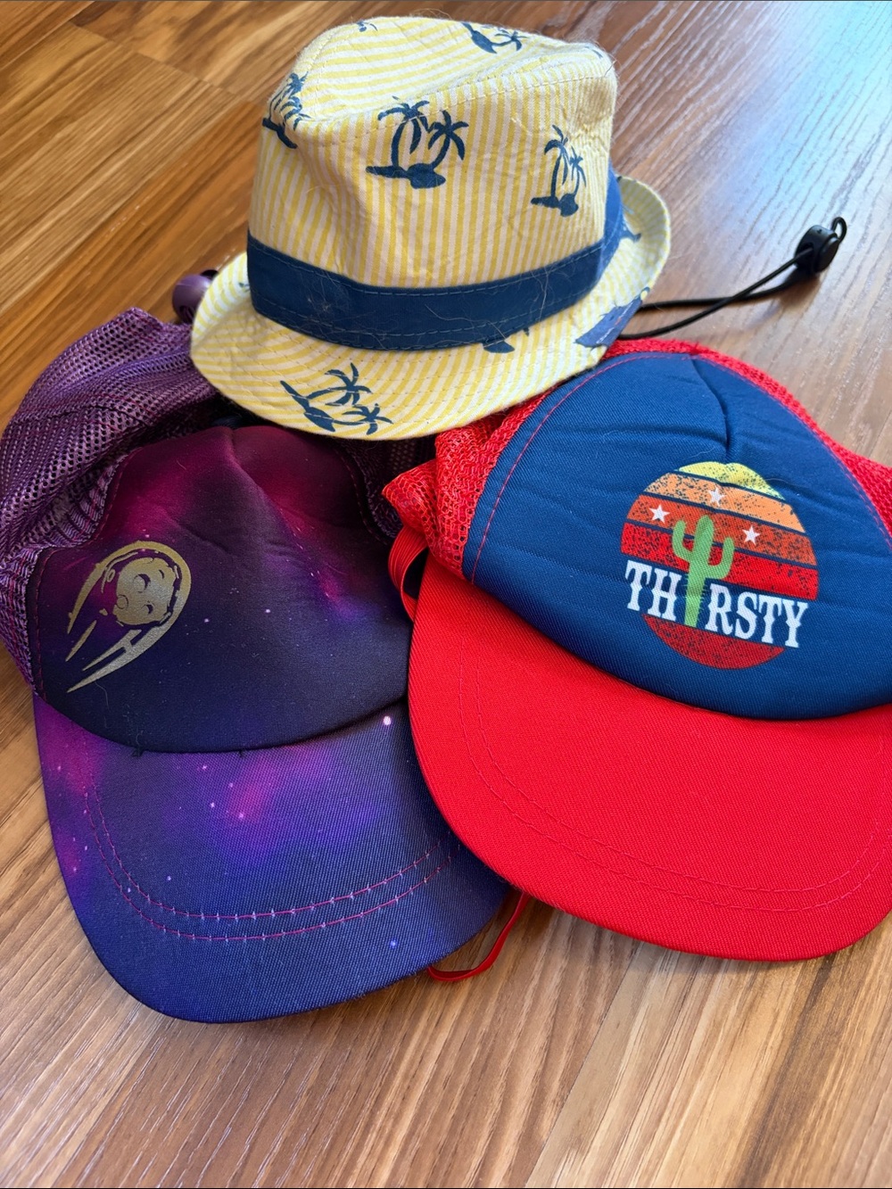 3 used dog hats
